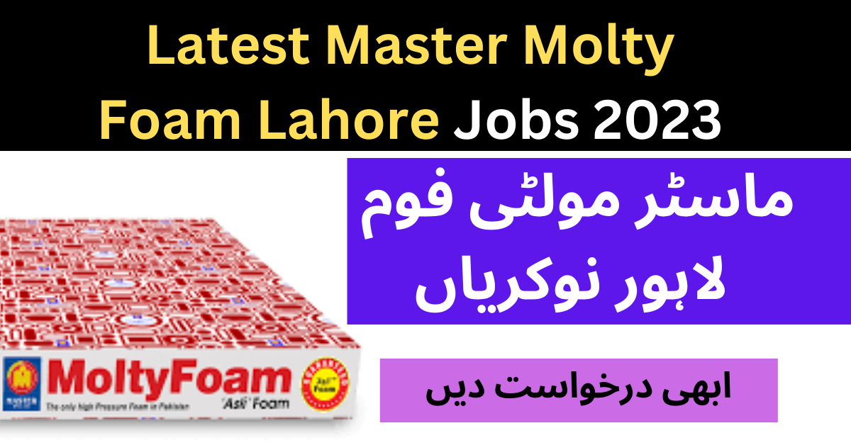 Master Molty Foam Distribution Jobs in Lahore 2023